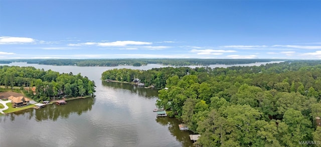 120 Willow Ln, Wetumpka, AL 36092 - bird's eye view of a nearby body of water and a heavily wooded area