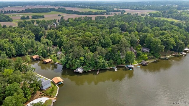 120 Willow Ln, Wetumpka, AL 36092 - aerial view of a nearby body of water
