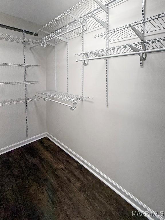 spacious closet with hardwood / wood-style flooring