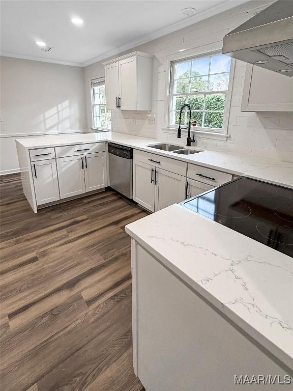 kitchen with sink, white cabinetry, extractor fan, ornamental molding, and stainless steel dishwasher