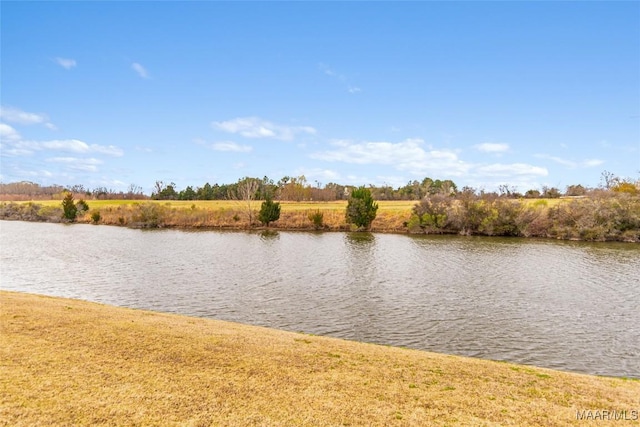 property view of water