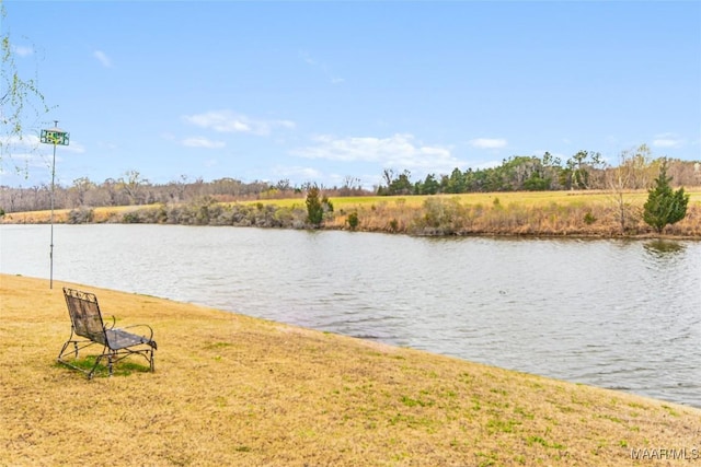 property view of water