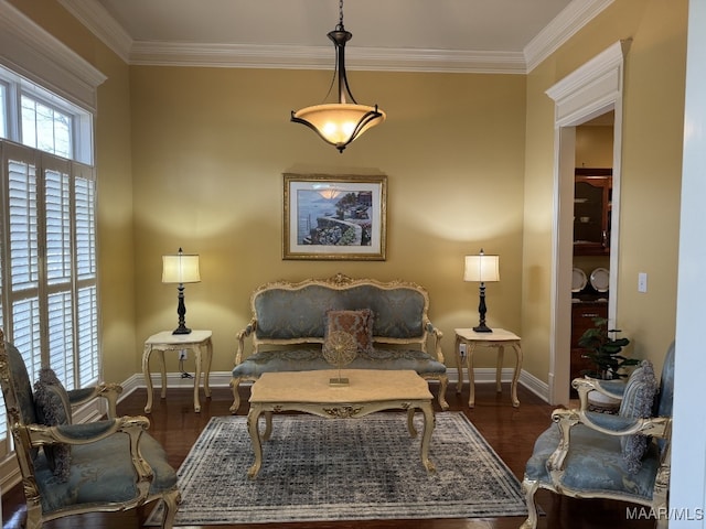 living area featuring crown molding and dark hardwood / wood-style floors