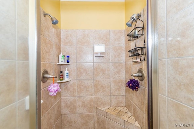 bathroom with a shower with shower door