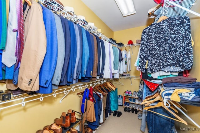 walk in closet with carpet flooring