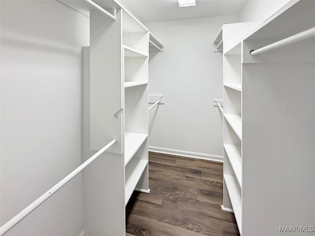 spacious closet featuring dark wood-style flooring