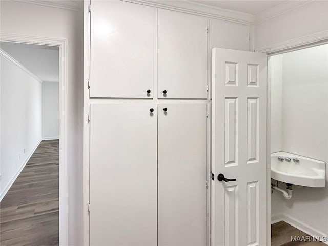 closet with a sink
