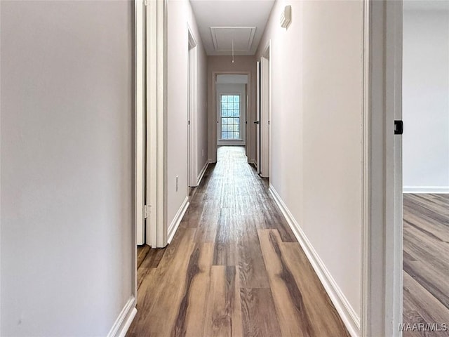 hall with hardwood / wood-style flooring