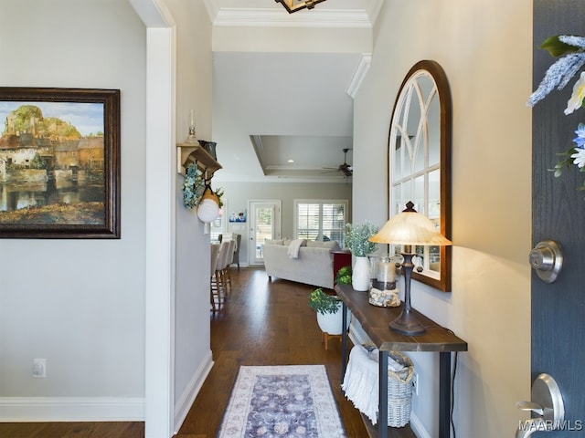 hallway featuring a raised ceiling, crown molding, and dark wood-type flooring