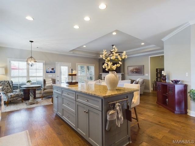 kitchen featuring light stone counters, a center island, a tray ceiling, and gray cabinets