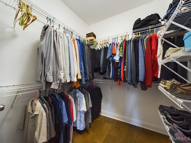 spacious closet featuring dark wood-type flooring