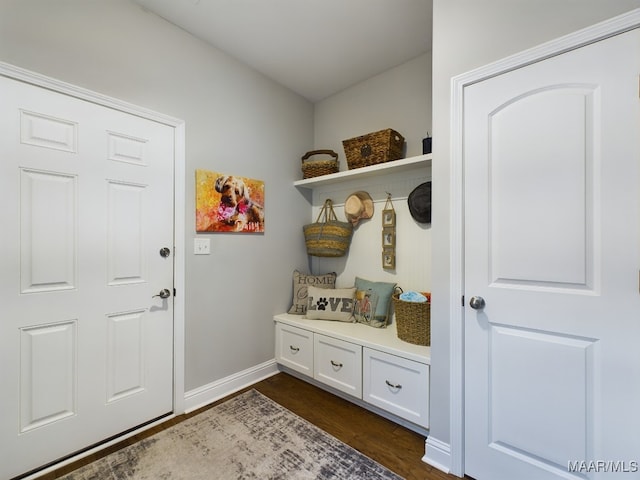 mudroom with dark wood-type flooring