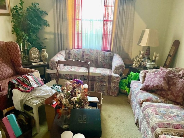 living room featuring carpet flooring