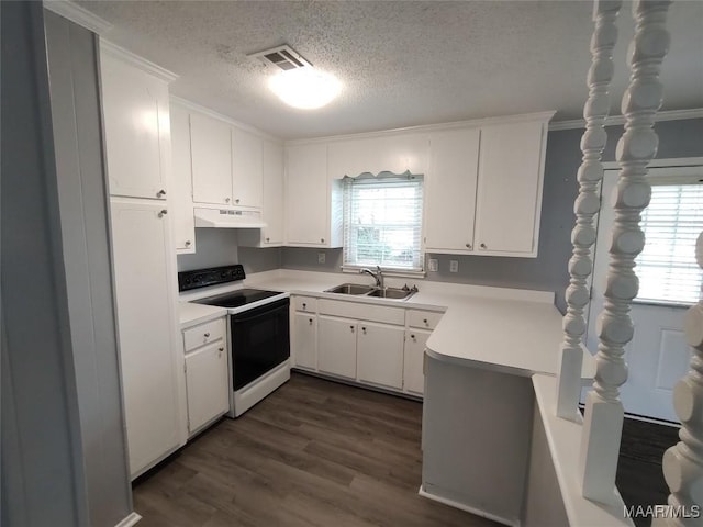 kitchen featuring range with electric cooktop, sink, white cabinets, dark hardwood / wood-style flooring, and a textured ceiling