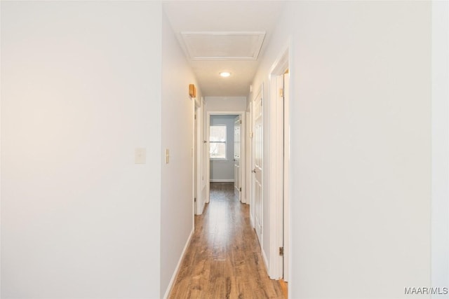 hallway with light hardwood / wood-style flooring