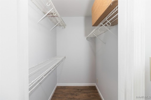 walk in closet featuring dark hardwood / wood-style floors