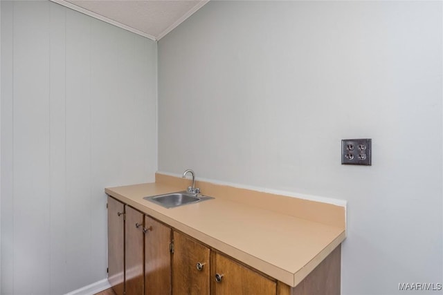 interior space featuring ornamental molding and sink