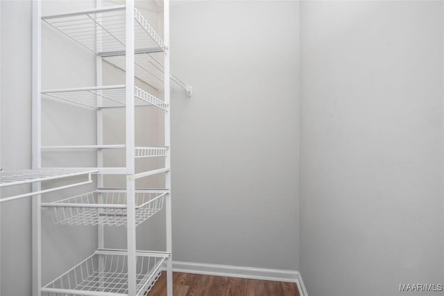 walk in closet featuring hardwood / wood-style floors