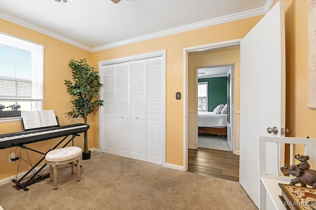 miscellaneous room with ornamental molding and carpet floors