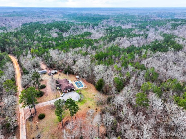 260 Mt Moriah Rd, Pine Apple AL, 36030 land for sale