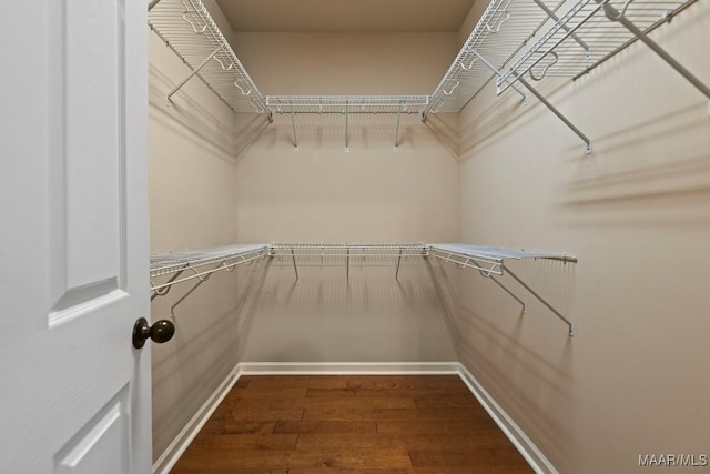 spacious closet with dark wood-type flooring