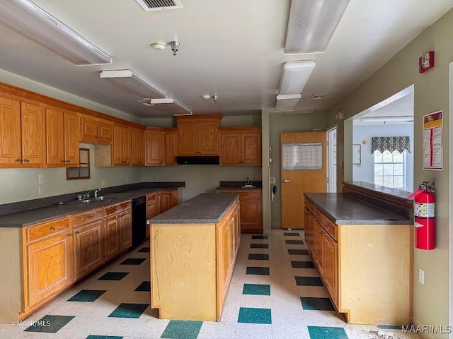 kitchen with dishwasher and a kitchen island