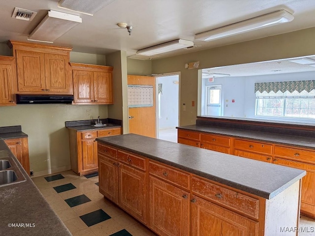 kitchen with a center island and sink