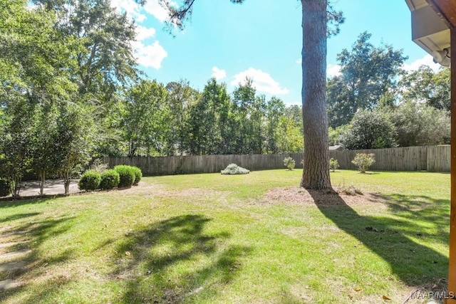 view of yard featuring a fenced backyard