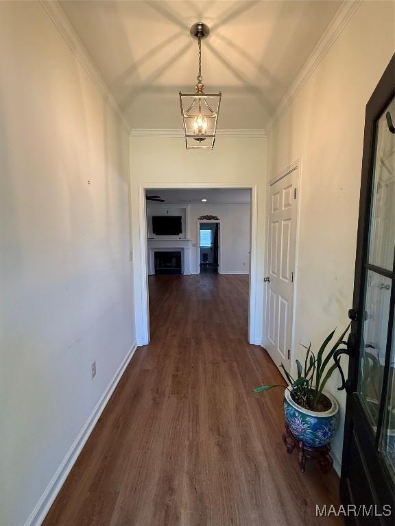 corridor with dark wood-type flooring, ornamental molding, and a chandelier