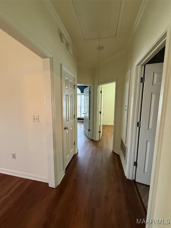 corridor featuring crown molding and dark hardwood / wood-style flooring