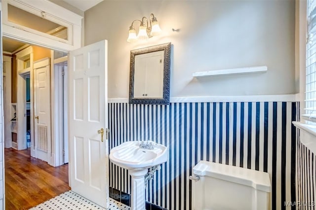 bathroom featuring wood-type flooring, toilet, and sink