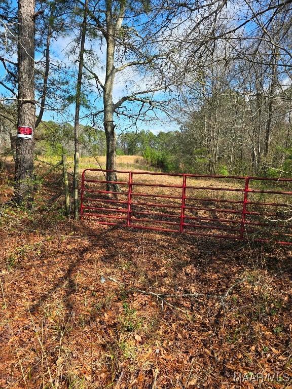 1901 Baker Holley Rd, Clanton, AL 35045 - photo 5