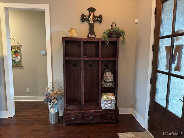 mudroom featuring dark hardwood / wood-style flooring