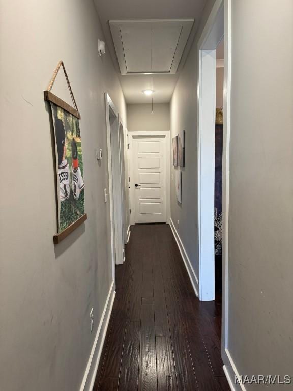 corridor with dark hardwood / wood-style floors