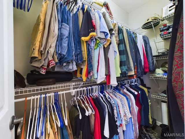 view of walk in closet