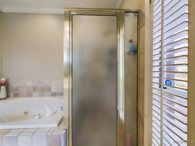 bathroom featuring ornamental molding and independent shower and bath