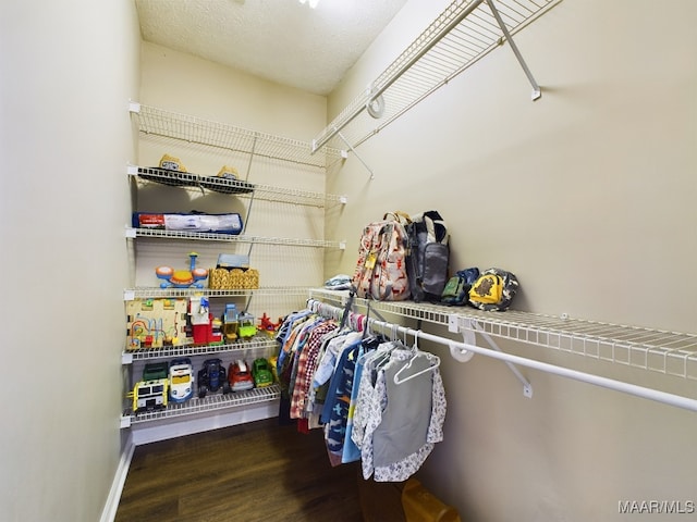 walk in closet featuring dark hardwood / wood-style flooring