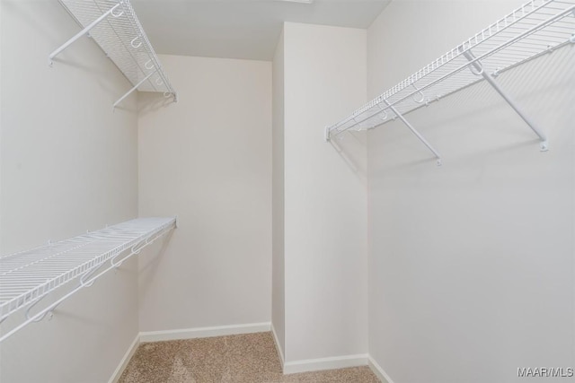 spacious closet with carpet floors