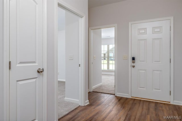 entryway with dark hardwood / wood-style flooring