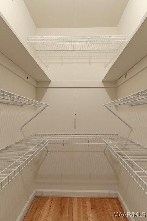 walk in closet featuring hardwood / wood-style flooring