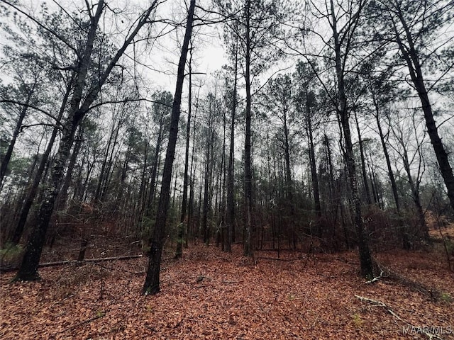 0 Lee Road 393, Auburn AL 36832 LAND for sale