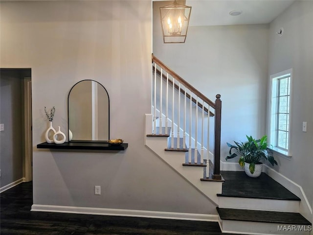 stairs with hardwood / wood-style flooring