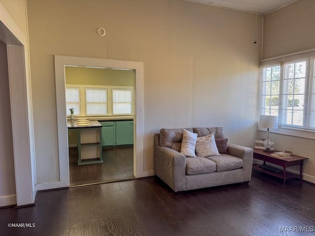 living room featuring dark hardwood / wood-style flooring and a high ceiling