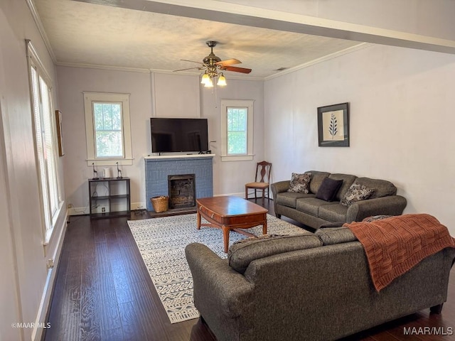 living room featuring a brick fireplace, a wealth of natural light, dark wood-type flooring, and ornamental molding