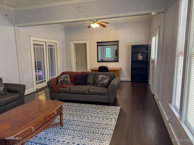 living room with ceiling fan, crown molding, and dark hardwood / wood-style flooring