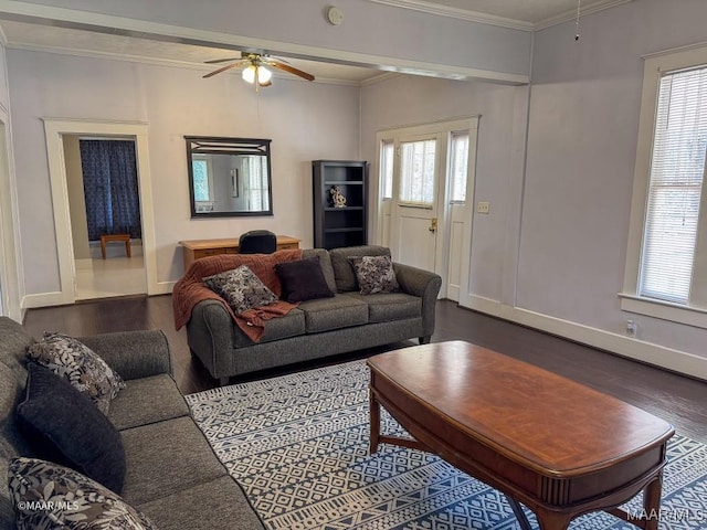 living room with dark wood-type flooring, crown molding, and ceiling fan