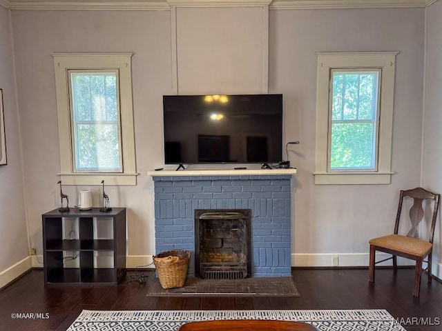 living room with dark wood-type flooring and a fireplace