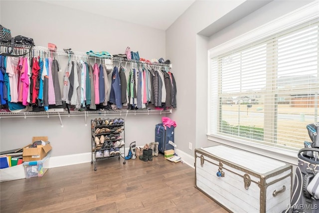 walk in closet featuring hardwood / wood-style flooring