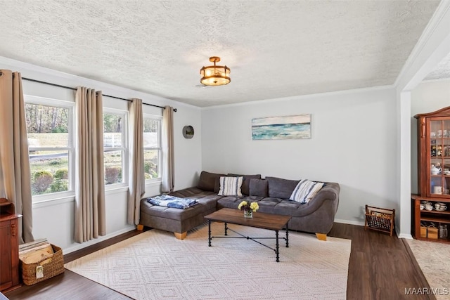 living room featuring light hardwood / wood-style flooring, crown molding, and a textured ceiling