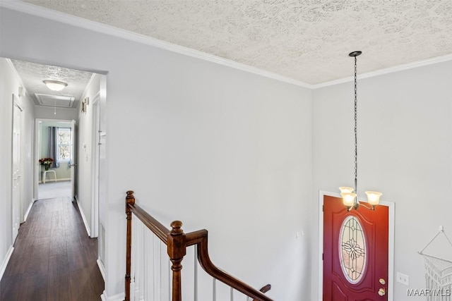 hallway with a textured ceiling, dark wood-type flooring, and ornamental molding